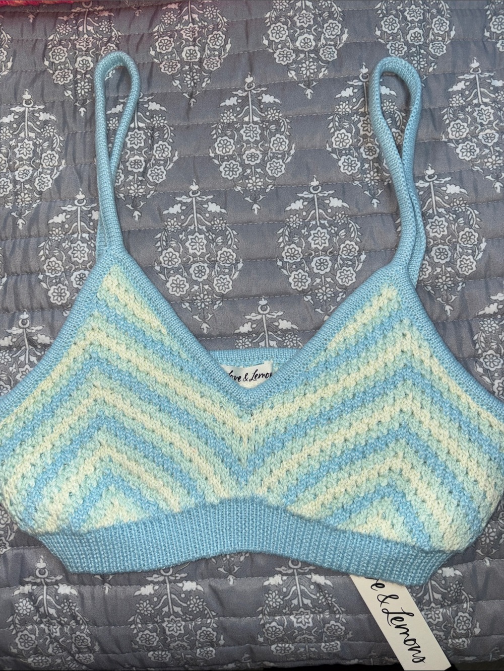 For Love & Lemons Pastel Blue and Cream Chevron Knit Top
